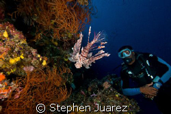Follow the Mo,Moses works as a Dive Guide on Fiji Aggress... by Stephen Juarez 